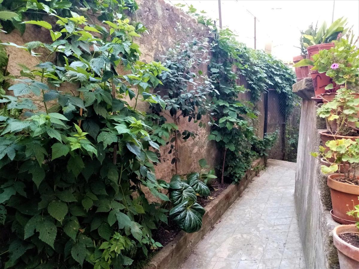 Отель Casa Da Judiaria Velha Визеу Экстерьер фото