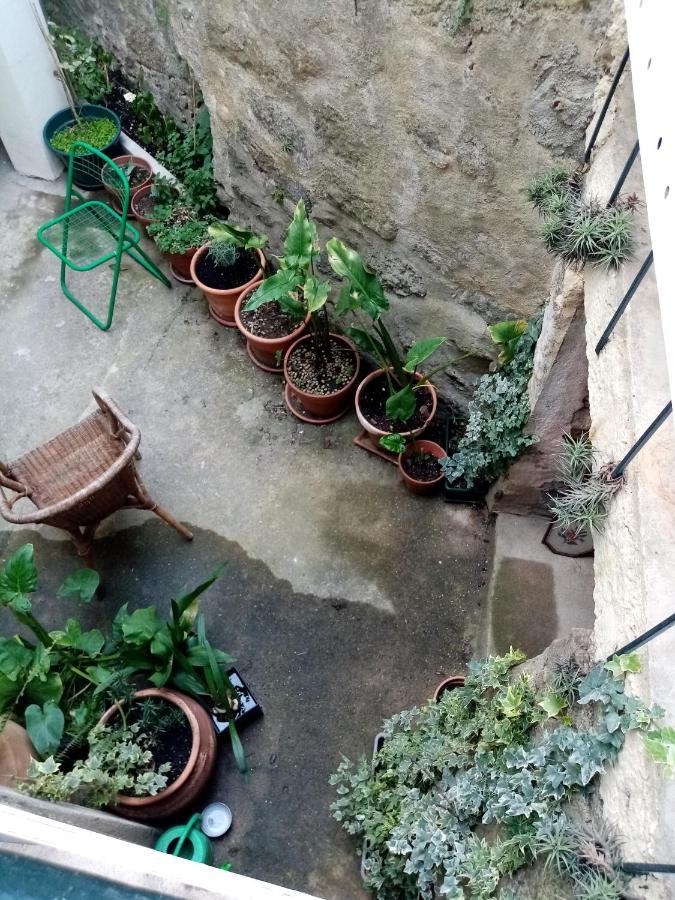 Отель Casa Da Judiaria Velha Визеу Экстерьер фото