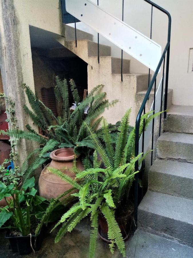 Отель Casa Da Judiaria Velha Визеу Экстерьер фото