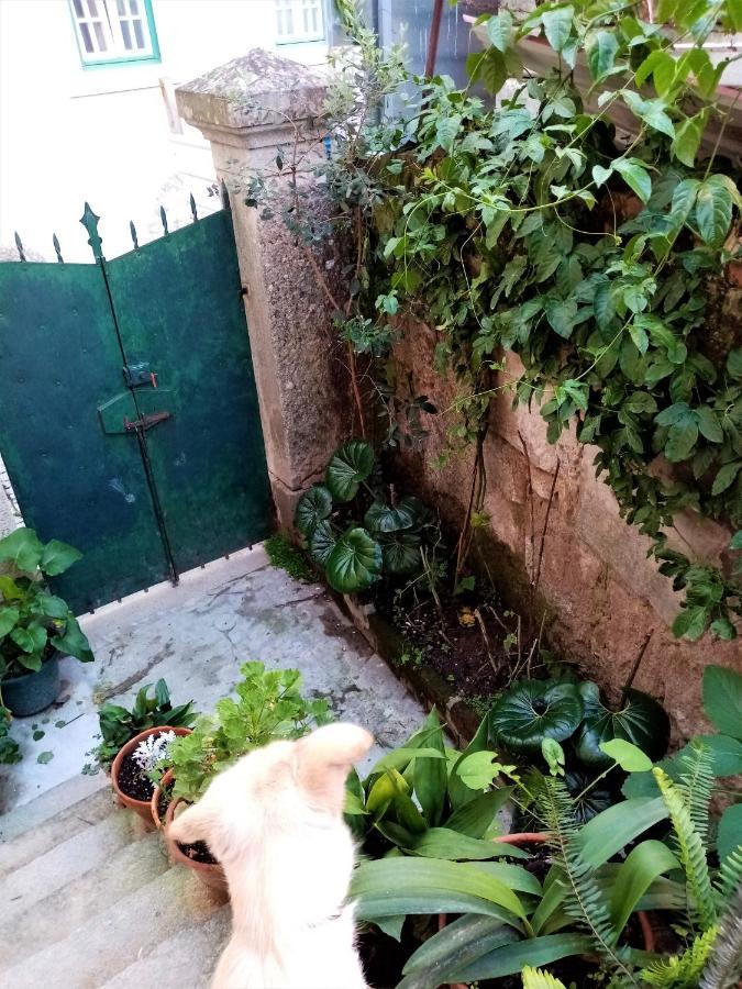 Отель Casa Da Judiaria Velha Визеу Экстерьер фото